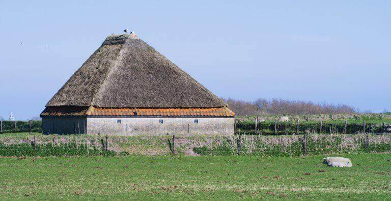 Een schapenboet bij De Hogeberg