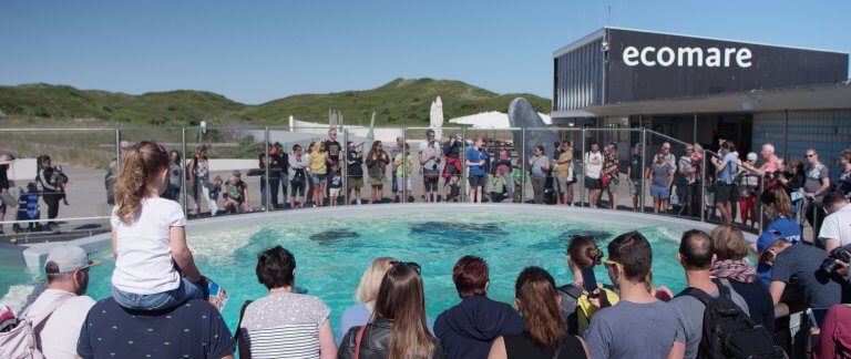 Zeehondenopvang Ecomare Texel