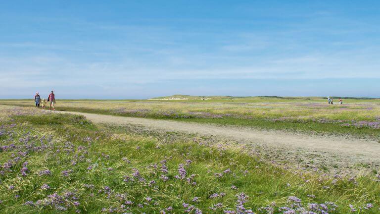 In De Slufter kunt u heerlijk wandelen