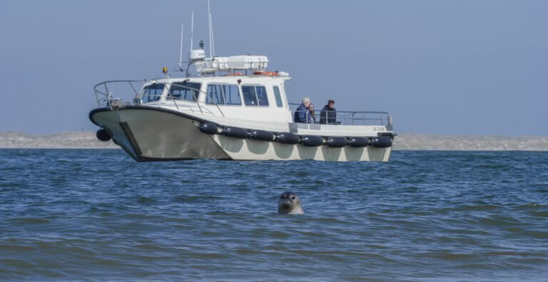 Het Sop zeehondentochten in Oudeschild op Texel