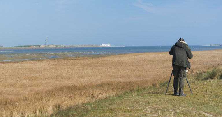 De Mokbaai - Texel Informatie