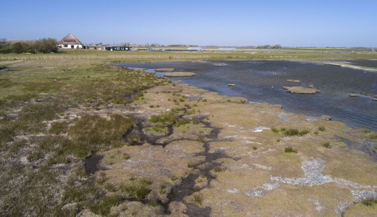 Natuurgebied De Petten op Texel