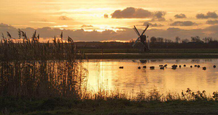 Water, vogels en watermolen in natuurgebied Waalenburg