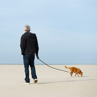 Wandelen op Texel