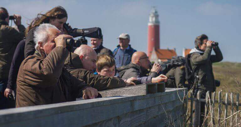 Vogelspotten op Texel - Texel Informatie