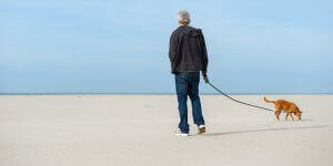 Huisdieren mee naar Texel - Texel Informatie