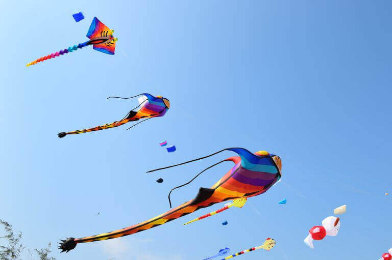 Vliegers bij windfestival