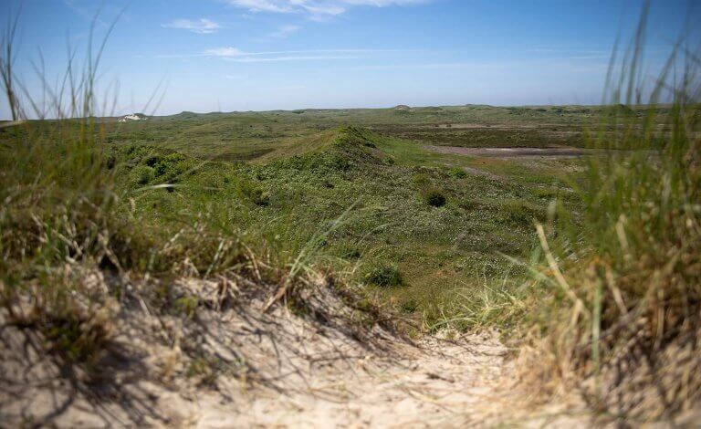 Texel Natuurgebied Westerduinen