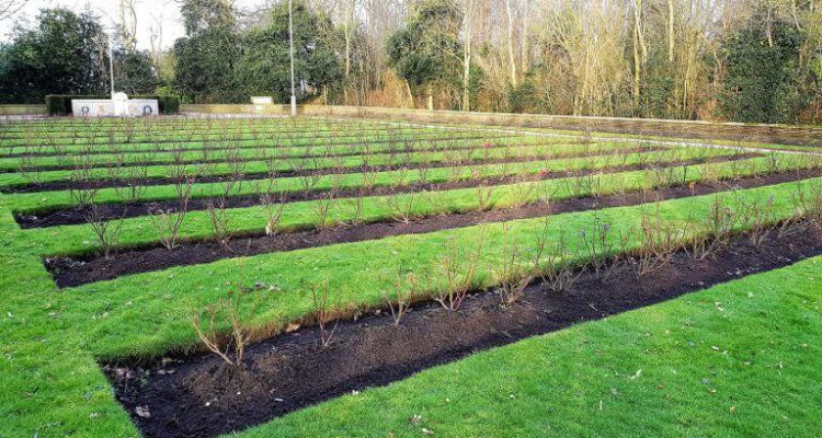 De Georgische begraafplaats bij de Hogeberg