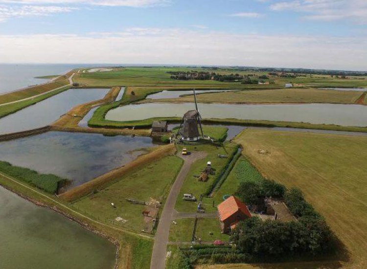 Drijvers Vogelweid De Bol bij de molen