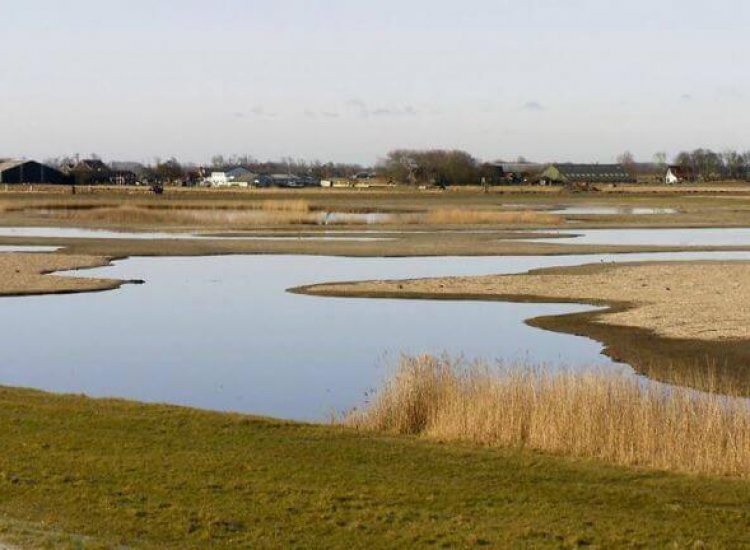 Natuurgebied Utopia op Texel