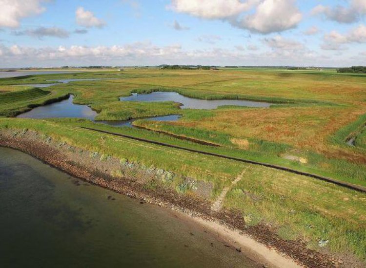 Zandkes aan de dijk