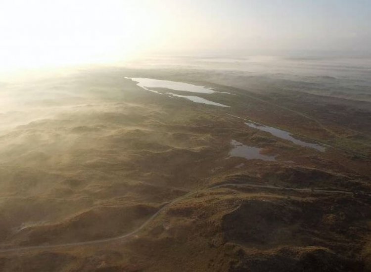 Het Grote Vlak nabij Den Hoorn op Texel