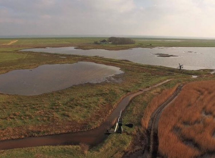 Watermolens in natuurgebied Dijkmanshuizen