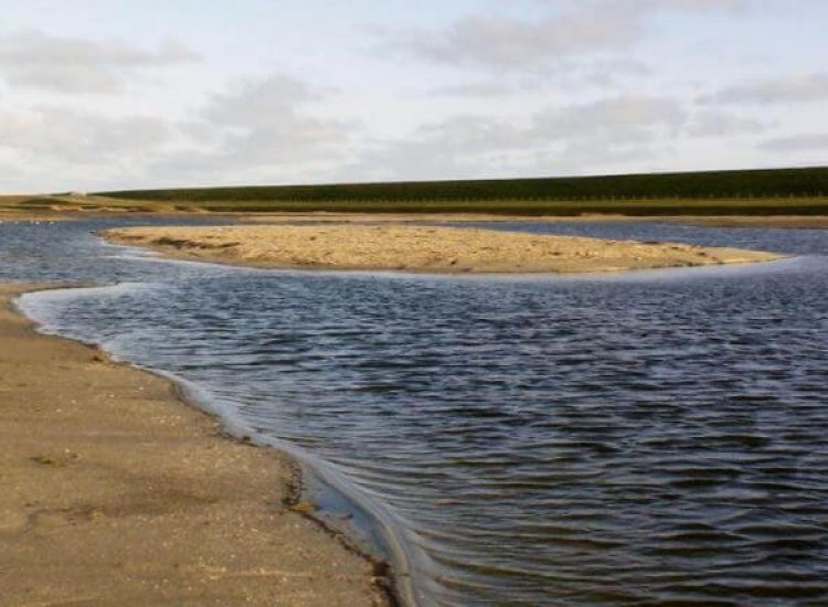 Het water in Natuurgebied Utopia is brak