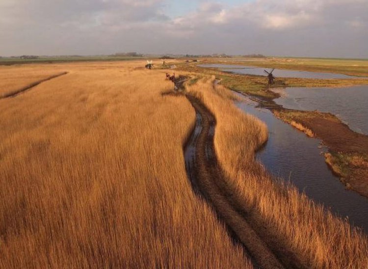 Water, riet en een watermolen in natuurgebied Dijkmanshuizen