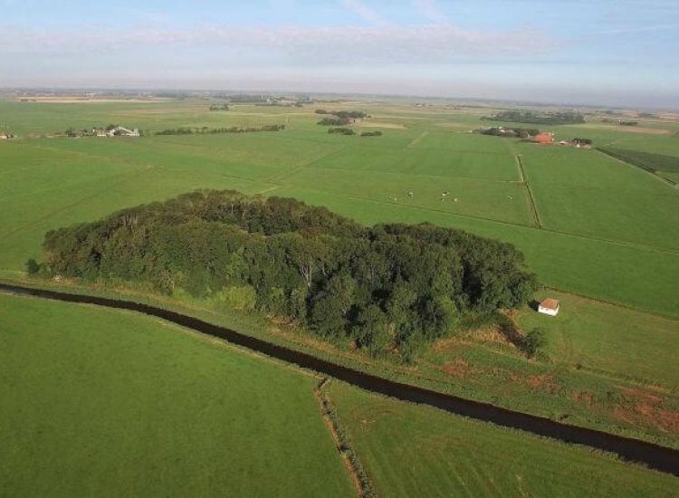 Luchtfoto van de eendekooi bij Spang