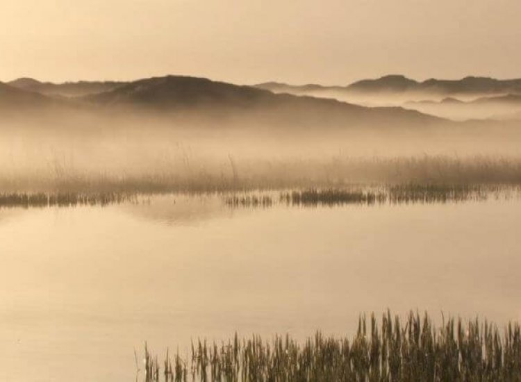 Laaghangende mist op Het Grote Vlak