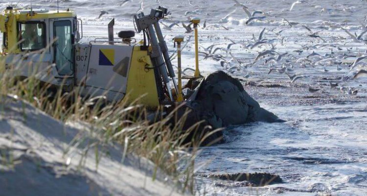 Zandsuppleties Texelse strand