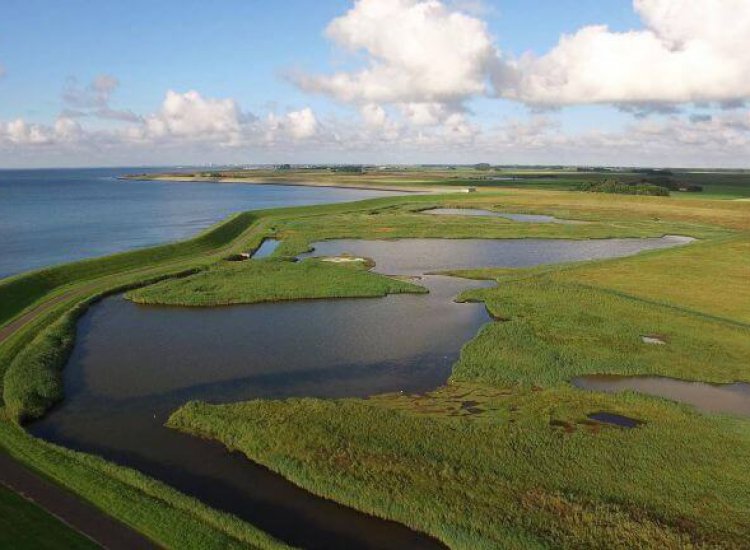 Brak water bij natuurgebied De Zandkes