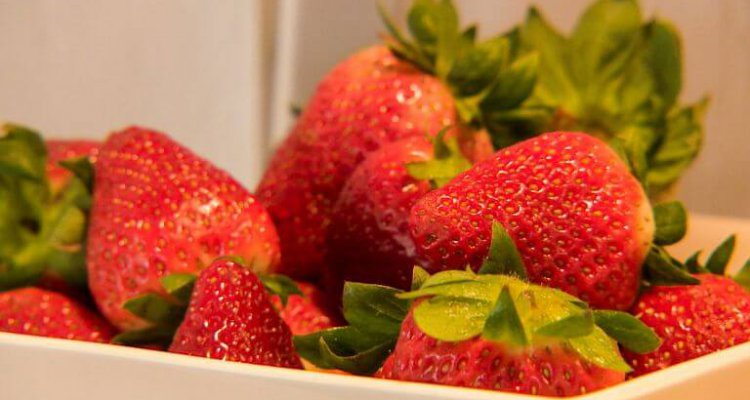 Hotel Het Uilenbos aardbeien