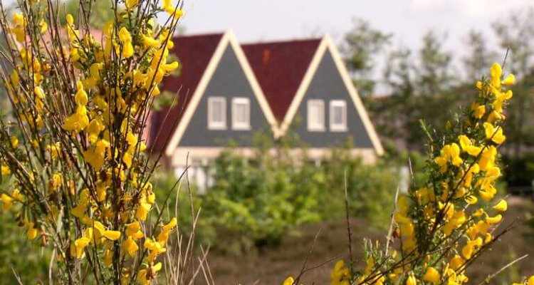 Villa’s Hoeve Landleven