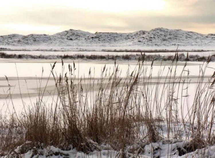 Het Grote Vlak in de winter