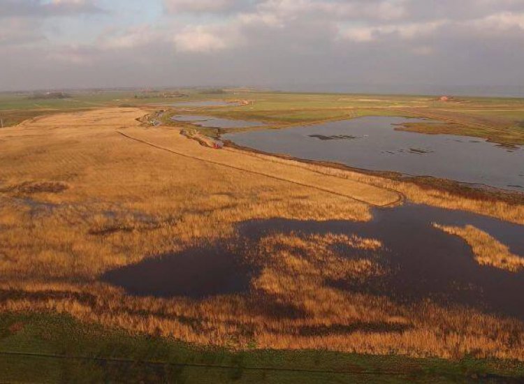 Dijkmanshuizen vanuit de lucht