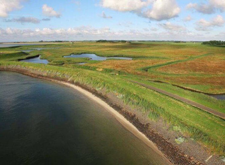 De prachtige natuur van de Zandkes