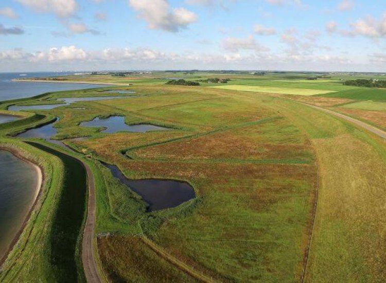 Zandkes langs de waddendijk op Texel