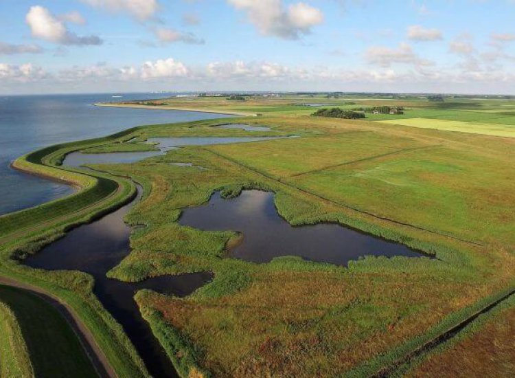 De Zandkes tussen Oudeschild en Oosterend