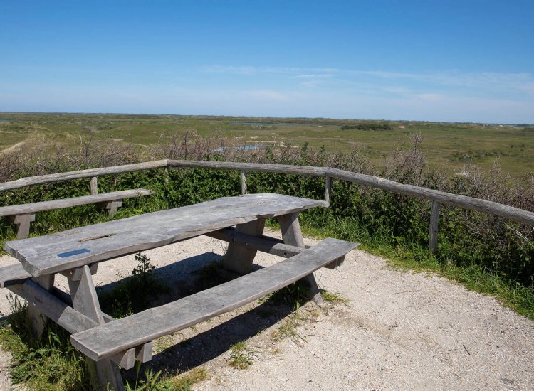 Bertusnol Texel