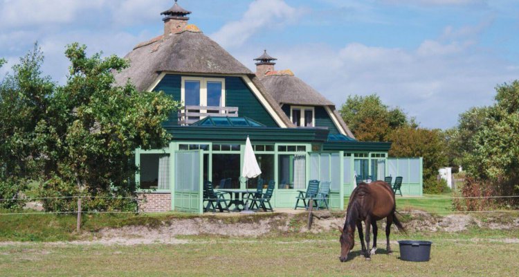 De villa's van Het Buitenhof hebben een mooi uitzicht