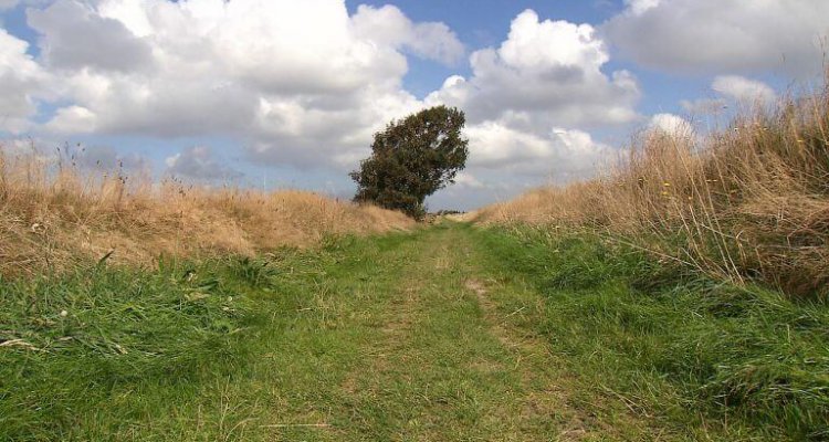 Op Texel heb je authentieke tuunwallen