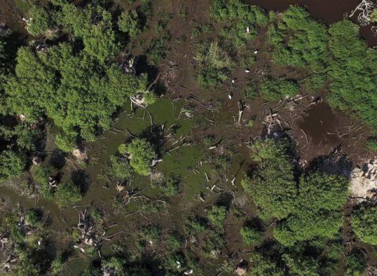 Natuurgebied De Muy van boven