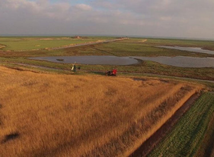 Dijkmanshuizen op Texel