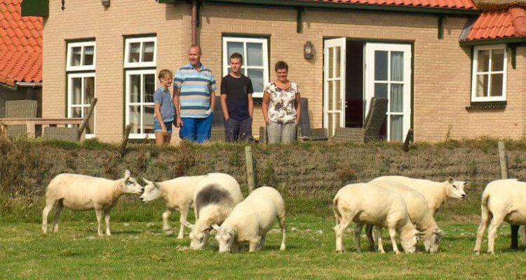 Anja Hoeve tussen de schapen