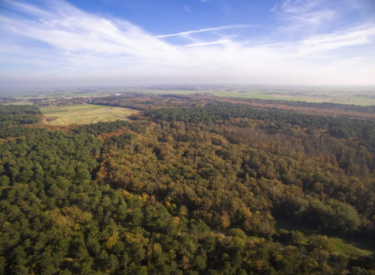 De Dennen vanuit de lucht