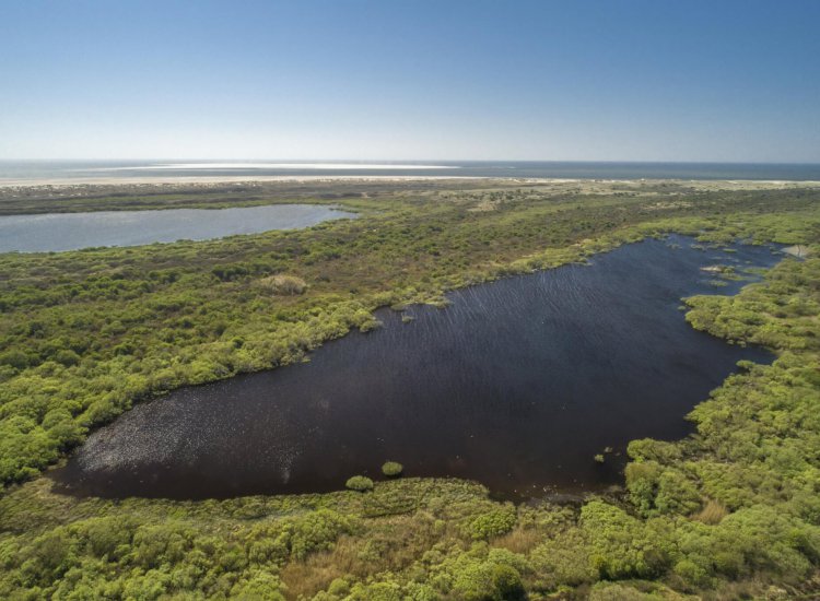 Luchtfoto van natuurgebied De Geul