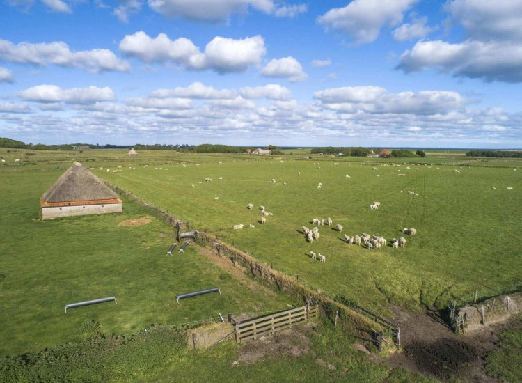 Het landschap bij De Hogeberg