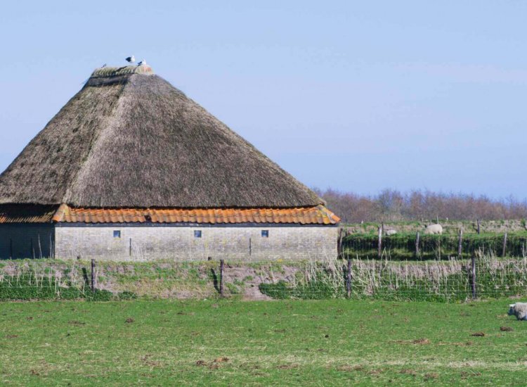 Een schapenboet bij De Hogeberg