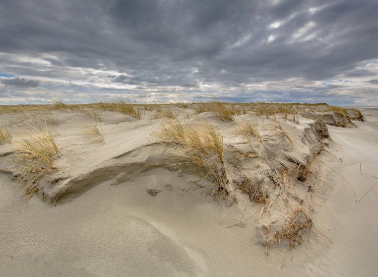 Formation of Young Dune landscape on Rottumerplaat island in the Waddensea, Netherlands