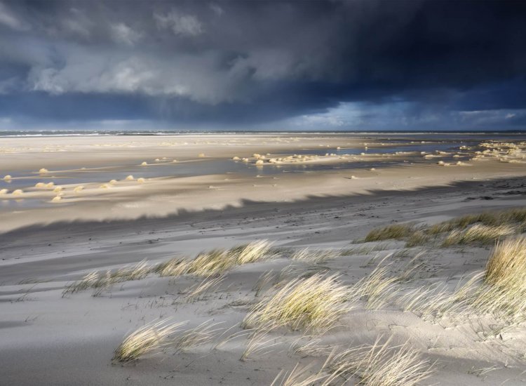 view on North sea coast on stormy sunny day