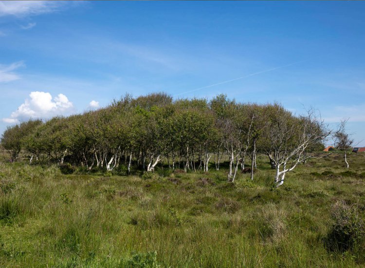 De Nederlanden Texel