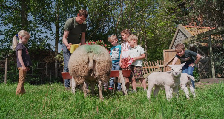 dieren-voeden-voedselbos-texel