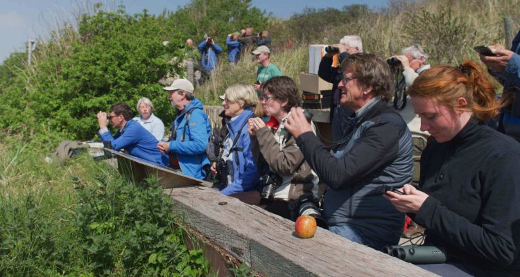 Vogelinformatiecentrum Dutch Birding Texel