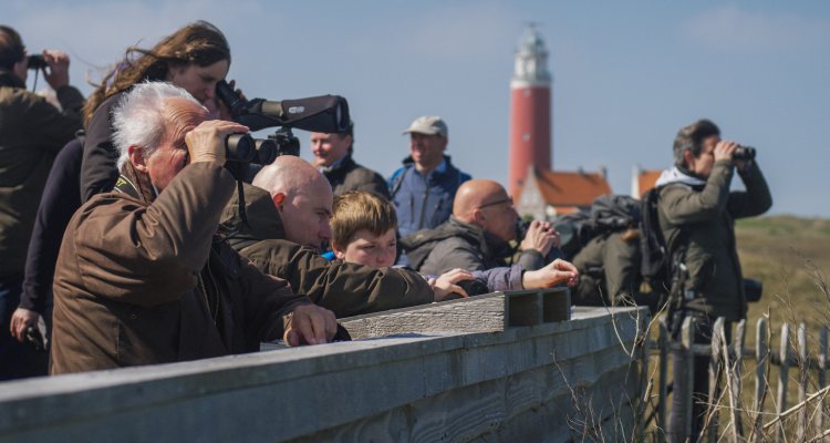 Vogelspotten op Texel - Texel Informatie