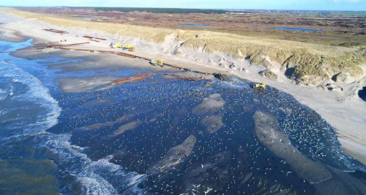 Zandsuppletie aan de kust bij de Texelse duinen