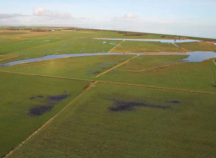 Luchtfoto van Drijvers Vogelweid De Bol