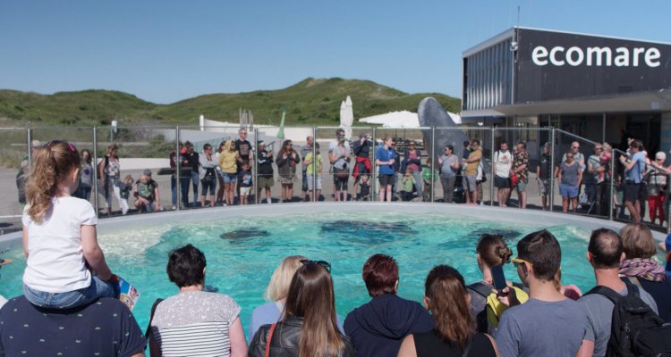 Zeehondenopvang Ecomare Texel